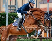 Gozzini Singul Dream GioCav2013 S5 4375 : Campionati Italiani Giovani Cavalli, Cattolica, Gozzini Cristian, Singul Dream, ph Stefano Secchi ©